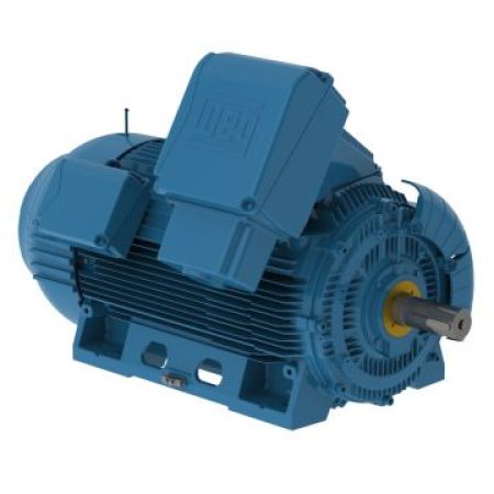 W50 Motor